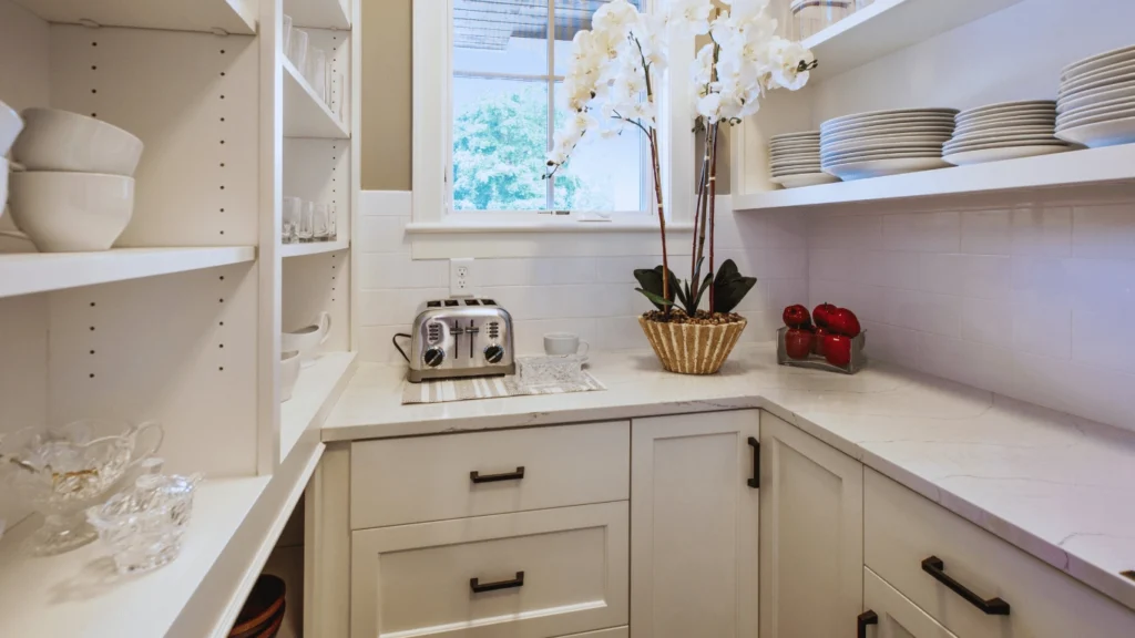 Pantry Renovation